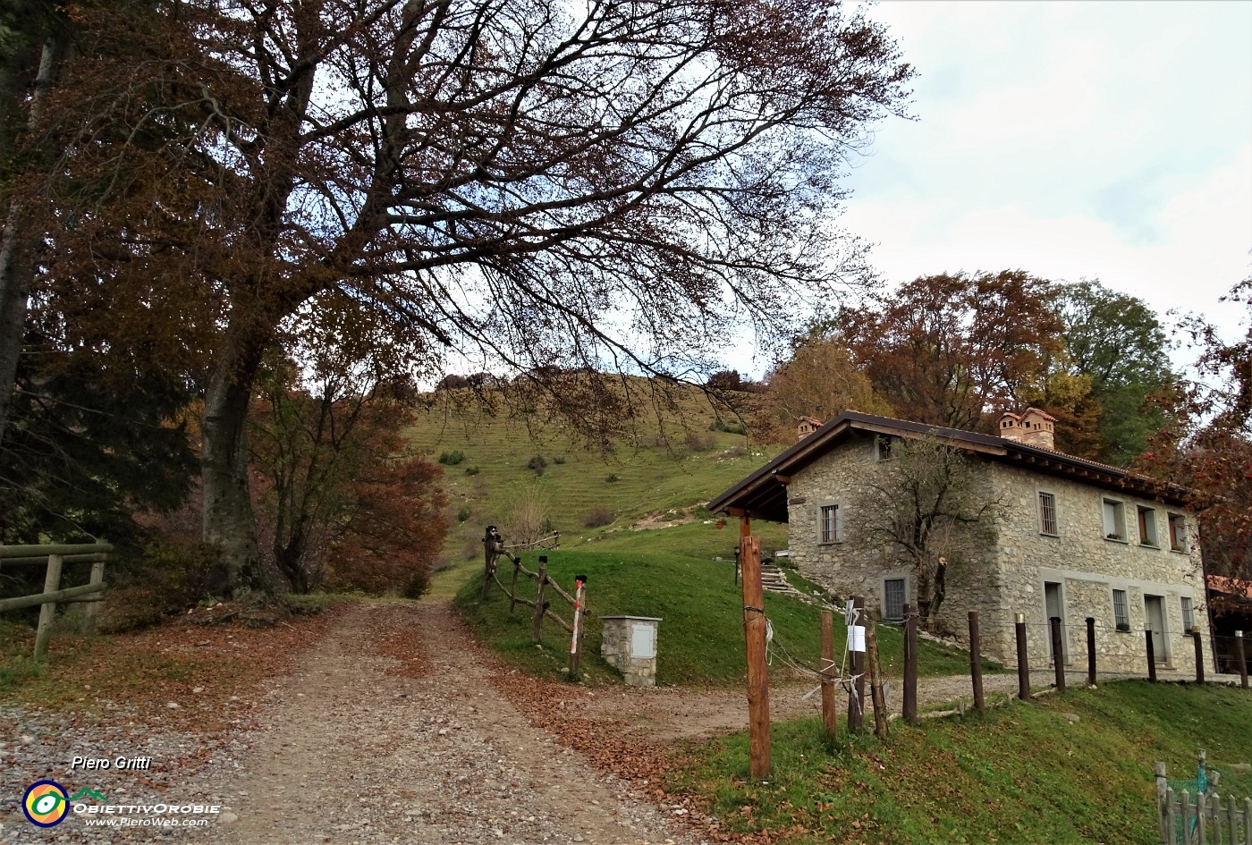 15 Festa di colori autunnali!.JPG